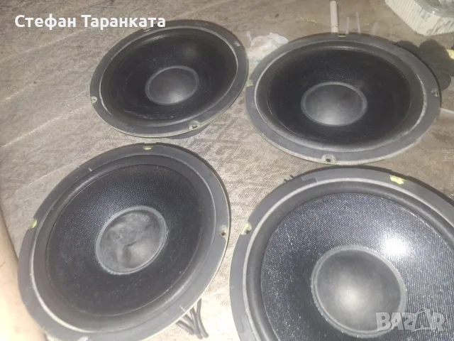Мидбасови говорители Cat, снимка 4 - Тонколони - 55994259