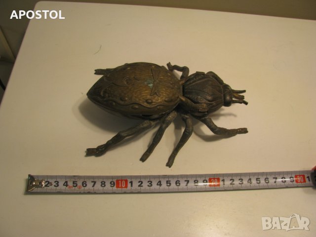 бронзов пепелник бръмбар, снимка 6 - Колекции - 39840951