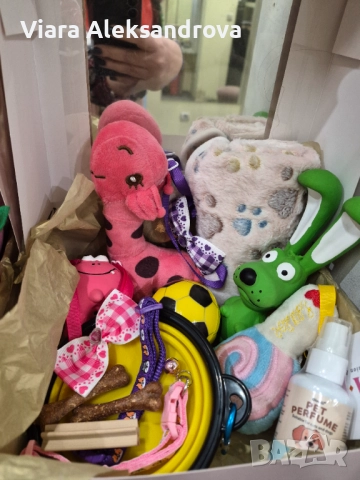 Подаръчни кутии за домашните ни любимци, снимка 6 - За кучета - 52578675