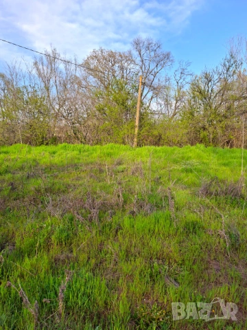 Продавам масивна тухлена къща, 95 кв.м в село Корен, област Хасково, снимка 7 - Къщи - 53058373