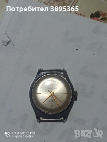 делбана, снимка 2 - Мъжки - 54022632