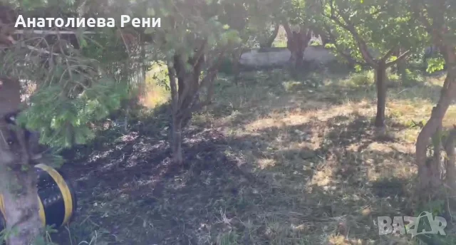 Поземлен имот Гърция, снимка 2 - Земеделска земя - 56253362
