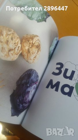 Книгата на шев Манчев и Шишков, снимка 5 - Колекции - 35569842