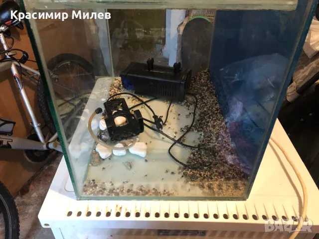 Аквариуми 2 броя /единия може и за терариум/