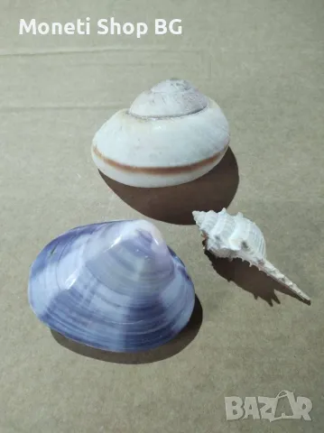 Океански дарове., снимка 2 - Други - 48931313