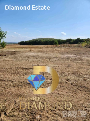 Парцел в село Богомилово, обл. Стара Загора, снимка 3 - Парцели - 54205057