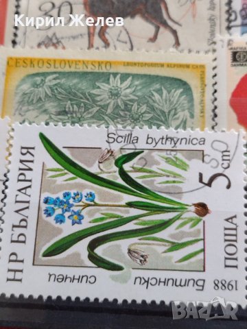 ПОЩЕНСКИ МАРКИ смесени ЖИВОТНИ,ЦВЕТЯ,ГЪБИ от цял свят за КОЛЕКЦИЯ 22600, снимка 10 - Филателия - 40316204