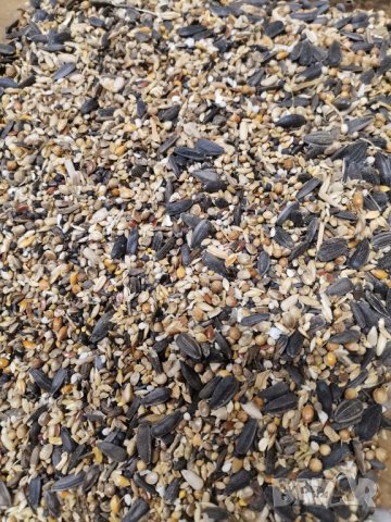 Смес/храна за калдарини, снимка 3 - За птици - 27271387