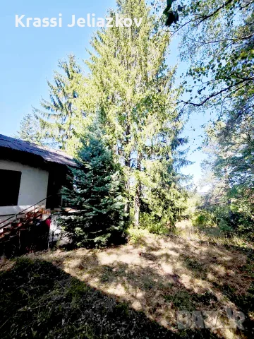 продавам вила с дворно място, снимка 3 - Вили - 56192688