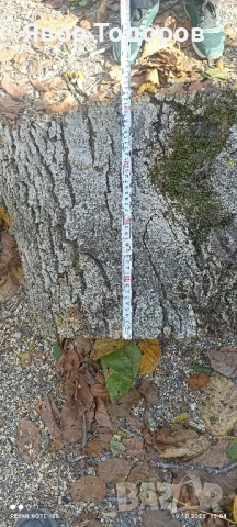 Орехов материал , снимка 13 - Дърводелски услуги - 52122704