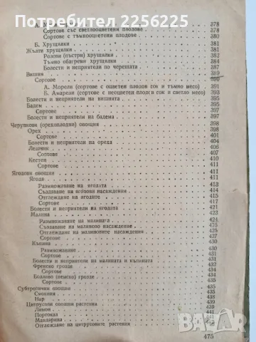 Овощарство 1955г, снимка 5 - Специализирана литература - 56271266