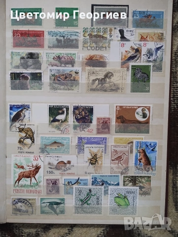 Класьор с марки /животни/ 650 бр ., снимка 4 - Филателия - 53078099
