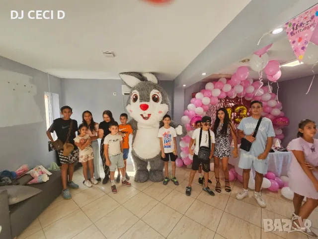 Бяло Мече Област Плевен Ловеч Троян и Зайчето Рики за вашата изненада, снимка 8 - Други услуги - 47295685