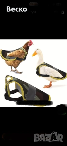 Протектор за кокошки, снимка 2 - За птици - 53305793