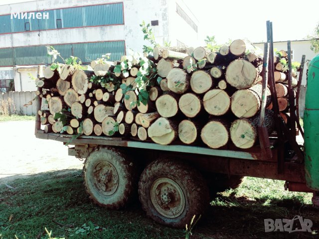 Продавам дърва за огрев, снимка 4 - Други услуги - 42637052