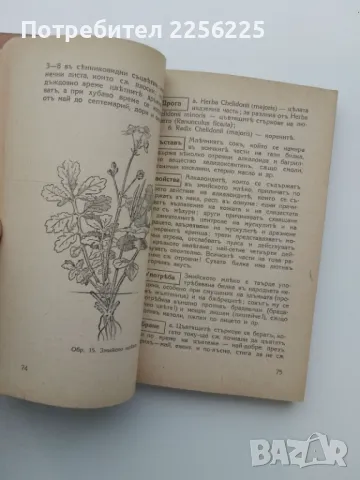 Наши билки 1-3, снимка 3 - Специализирана литература - 49877558