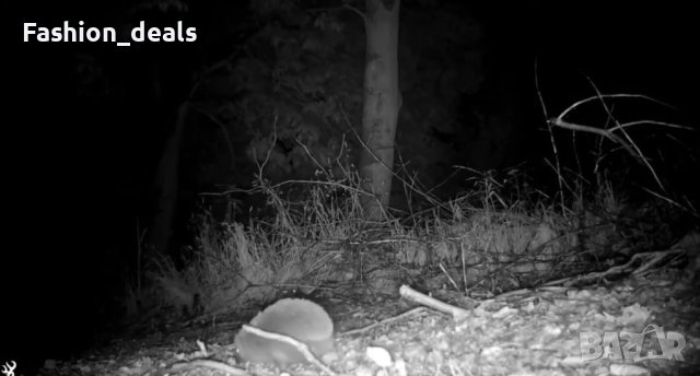 Нова WiFi камера за дива природа лов 30MP Bluetooth нощно виждане , снимка 8 - IP камери - 42187854