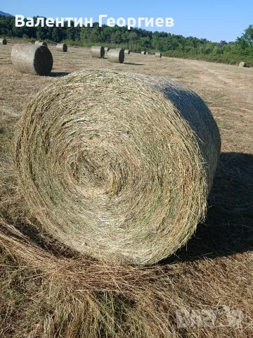 бали сено и слама, снимка 3 - За селскостопански - 56378232