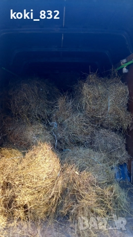 транспортни и хамалски услуги, снимка 9 - Транспортни услуги - 49677475