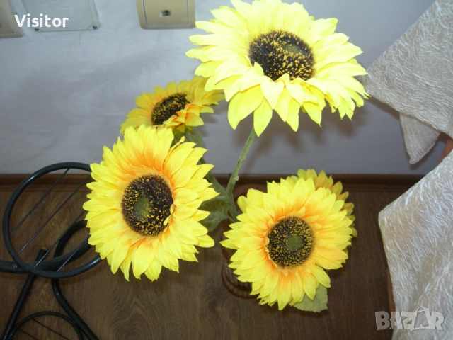 фотоапарат Nikon Coolpix 7900, снимка 13 - Фотоапарати - 52818474