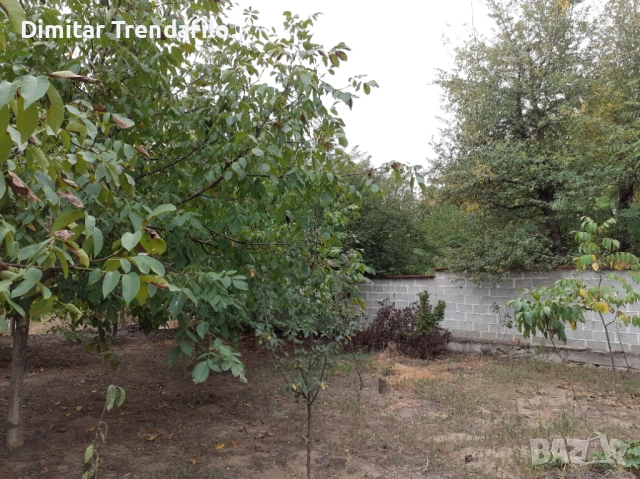 Орехова градина 570 кв.м., с. Виноградец, обл. Пазарджик, 19,000 Евро, снимка 6 - Парцели - 52223300