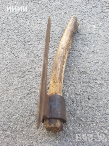 Брадва кривица с печат 