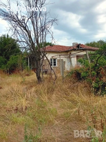 Дворно място, снимка 4 - Земеделска земя - 51367423