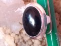 Сребърен пръстен с черен естествен камък, снимка 1 - Пръстени - 39774638
