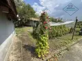 🏡 КЪЩА С ГОЛЯМ ДВОР В С. СТРУЙНО! , снимка 5