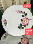 Winterling Bavaria Wild rose Дива роза за хранене , снимка 10