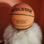 WelStar mini basket N3, снимка 1 - Баскетбол - 42630257