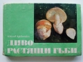 Диворастящите гъби - Н.Колев,Аф.Охапкин - 1974г., снимка 1