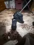 Nike Air Max дамски, снимка 1