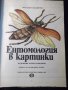 Книга "Ентомология в картинки-Виталий Танасийчук" - 40 стр., снимка 2