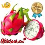 200 семена ароматни екзотични вида питая редки драконови плодове от кактус декорация и свежест на гр, снимка 5