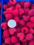 продавам малини, снимка 2