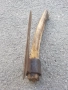 Брадва кривица с печат , снимка 1